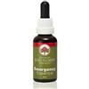 NATUR Srl Emergency 30 Ml 1 Pezzo