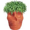 QEEBOO vaso MEXICO PLANTER - 70007TE