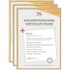walther design oro 21 x 29,7 cm (DIN A4) con vetro artistico confezione da 3, cornice in plastica New Lifestyle KVX130G3