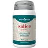 ERBA VITA GROUP SpA Salice Erba Vita 60 Capsule
