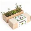 Resetea, Kit Autoccultivo, Mini orto di erbe aromatiche, rosmarino, origano e timo
