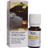 Moskito Sinergia Olio Essenziale Diffusione 10 Ml