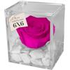 Premium-rose.com OneFlower by PREMIUM ROSE - Cubo Rosa Stabilizzata Fucsia 6 cm con Marmo di Carrara - Rosa Eterna Stabilizzata Made in Italy - Idea per Chi Ama Colori Vivaci e Giovani Donne - Fucsia 1062