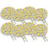 LEDLUX Lampadine LED G4 (8 Pezzi, Bianco Caldo 3000k), G4 Bispina, DC AC, 12V 24V, 3,5W, 350 Lumen, 15 SMD 5630, 10V-30V