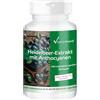Vitamintrend Estratto di mirtillo nero con il 25% di antociani, 180 capsule, ad alto dosaggio, integratore alimentare vegano senza magnesio stearato, prodotto in Germania