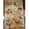 POSTER - DR. STONE - RIICHIRO INAGAKI - BOICHI 2