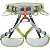 Climbing Technology Ascent Imbrago Verde/Grigio Uomo