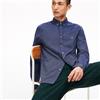 Lacoste Camicia Botton Down Uomo