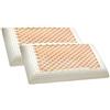 EVERGREENWEB MATERASSI & BEDS Evergreenweb - Coppia Cuscini Memory Foam, Modello Saponetta Air Massage Alti 12 cm, Doppia Fodera Silver e Cotone Naturale, Guanciali Letto Ideali per Cervicale, Traspiranti Termosensibili Antiacaro
