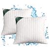 EVERGREENWEB MATERASSI & BEDS Evergreenweb - Cuscini Letto Coppia 60x60 Alti 15cm 2 Guanciali Lavabili in Lavatrice 30° Guanciali Cervicali Ortopedici per Dolori Cervicali Cuscini Arredo Divano Decorativi Imbottitura 100% Fiocco