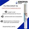 Filtro,cartuccia Carbon Block 2-6/8x20 grado di filtrazione 10 micron