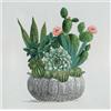 AGAVE Quadro My New Garden 70x70