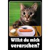 Schatzmix Blechschild Katze Spruch Willst du Mich verarschen Metallschild Wanddeko 20x30 cm Tin Sign Targa di Metallo da Parete, Lamiera, Multicolore, 20_x_30_cm