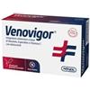 Amnol Chimica Biologica Venovigor 20 Stick Pack Granulato Orosolubile