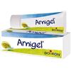 Boiron Arnigel 7% Gel Tubo 120g