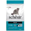 SCHESIR GATTO DRY PESCE 1,5KG