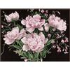 LANARTE Kit Punto Croce Contato Fiori Rosa Decorativi per Pareti ca. 46 x 37 cm Set Fai da Te Creativo Adulti Ricamo Casa Decor Arte da Parete Kit per Hobby Cross Stitch