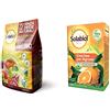 Solabiol Zeolite Polvere Di Roccia, 1Kg Potenziatore Delle Difese Delle Piante, Bianco, 1 Kg & Concime Granulare Biologico Per Agrumi, 750 Gr