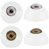 PH PandaHall 2 Paia 32mm Occhi Umani Realistici Grandi Acrilico Bulbi Oculari Cavi Occhi per Halloween Decorazioni Artistiche Sculture Oggetti di Scena Burattini Creazione di Gioielli