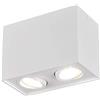 Trio Leuchten Biscuit 613000231 - Plafoniera in metallo bianco opaco, 2 lampadine GU10
