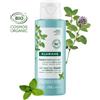 Klorane Polvere Purificante Bio 3 in 1 alla Menta e con Argilla 50 gr