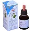 Herboplanet MSA AESCULUS HIPPOCA 50 ML