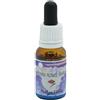 Natur AUTHENTICITY ESSENZA 15 ML 1 PEZZO