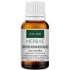 Solimè HERBAE LAVANDA OLIO ESSENZIALE 10 ML