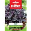 Blumen basilico violetto