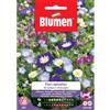Blumen fiori selvatici da campo in miscuglio