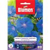 Blumen ipomea o campanella rampicante blu
