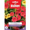 Blumen petunia ibrida pendula in miscuglio