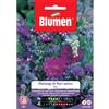 Blumen melange di fiori estivi blu