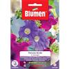 Blumen petunia ibrida in miscuglio