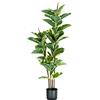 King Collection PIANTA FICUS ELASTICA H. 145 cm 54 FOGLIE
