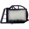 CHAMPION Filtro aria Champion CAF3203 Yamaha X-max 250cc (Filtri Aria) / X-max 250 CAF3203 air filter (Air Filters)