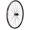 Progress Ruota Anteriore Da Mtb Evo 29´´ Disc