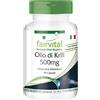 Fairvital | Krill Oil 500mg - 1 mese - alto dosaggio - 90 Licaps® - Superba antartica