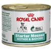 Royal Canin Starter Mousse - 6 lattine da 195gr.