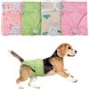 Teamoy 4pcs Pannolino Riutilizzabile per Cani Femmina, S | Pannolini Lavabili per Cani di Sesso Femminile Mutandine Assorbenti Super Assorbenti e Confortevoli