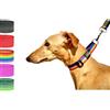 bub's Collare Martingala per cani di taglia media/piccola Progettato per tutti i tipi di razze di cani e soprattutto per levrieri. (Dimensioni di controllo: collo da 22 a 35). (Rainbow)