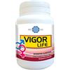 Bodyline VIGOR LIFE 40 CAPSULE