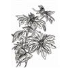3-D Textured Fades Mini Poinsettia