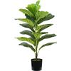 King Collection PIANTA FICUS LYRATA H. 75 cm 21 FOGLIE