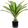 King Collection PIANTA DRACAENA H. 60 cm 19 FOGLIE