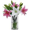 Olrla 6 Fiore di Giglio Artificiale Bianco e Rosa, Giglio Finto a Stelo Corto per Bouquet da Sposa fai da te, Decorazione da tavolo per l'ufficio, Decorazione Floreale per il Bagno