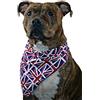 Pet Pooch Boutique - Bandana per cani con motivo Union Jack
