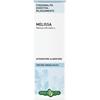 Erba Vita MELISSA FOGLIE TINTURA IDROALCOLICA 50 ML EBV