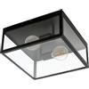Eglo Lampada da soffitto Charterhouse, lampada vintage a 2 fiamme, materiale: acciaio, colore: nero, vetro: trasparente, attacco: E27