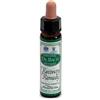 SANTIVERI Sa Ainsworths Recov Remedy 10ml